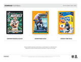 2024 Panini Donruss Football Hobby PACK x1 (Personal Break)