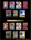 Premium Booster One Piece The Best Storage Box Set x1 (Personal Break)